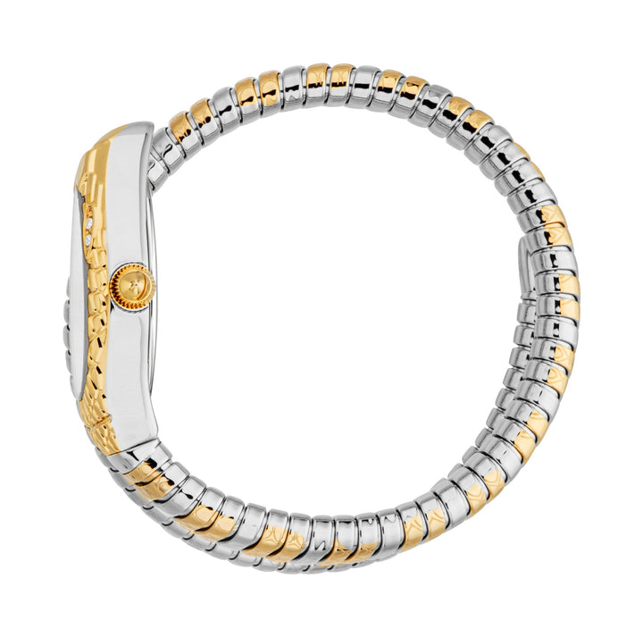 Snake 20mm / Silver / Silver and Gold Silver Dial