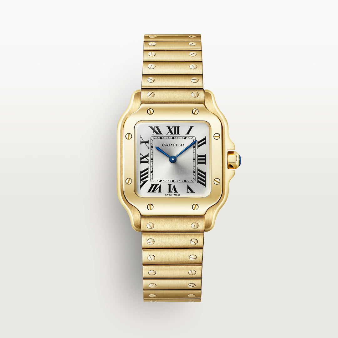Cartier Santos de Watch WGSA0107