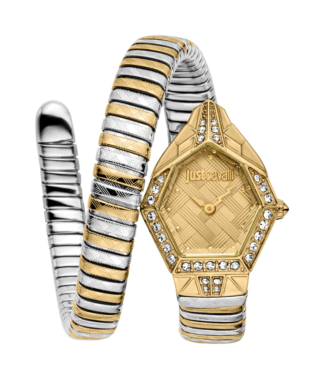 Just Cavalli 23mm / Silver and Gold | Champagne Dial