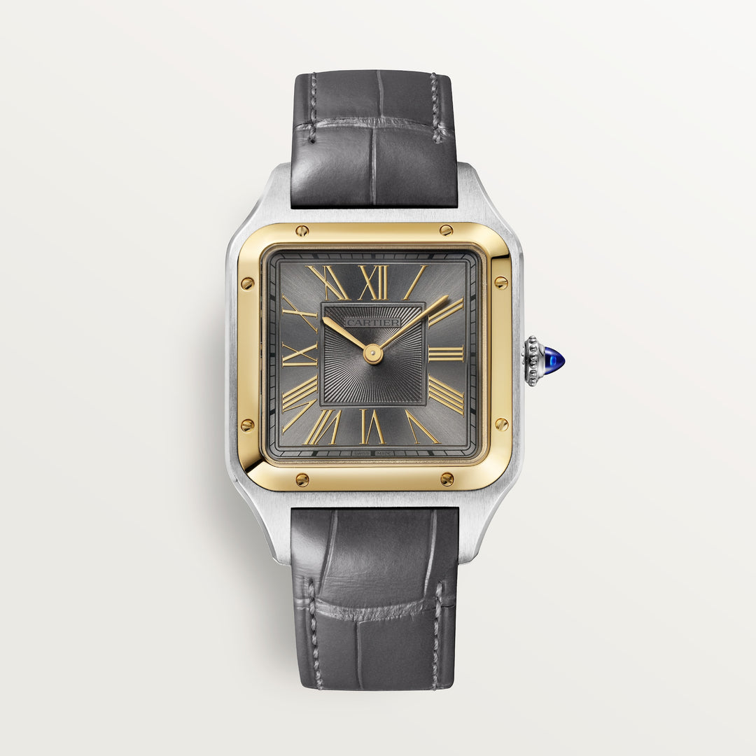 Cartier Santos-Dumont Watch W2SA0036