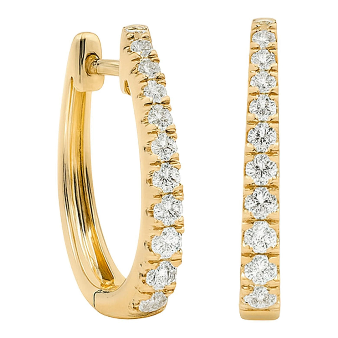 Oval Hoop Earrings