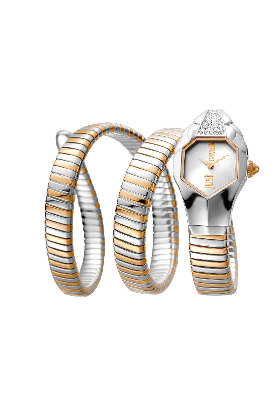 Snake 22mm / Silver / Silver and Rose Gold Silver Dial