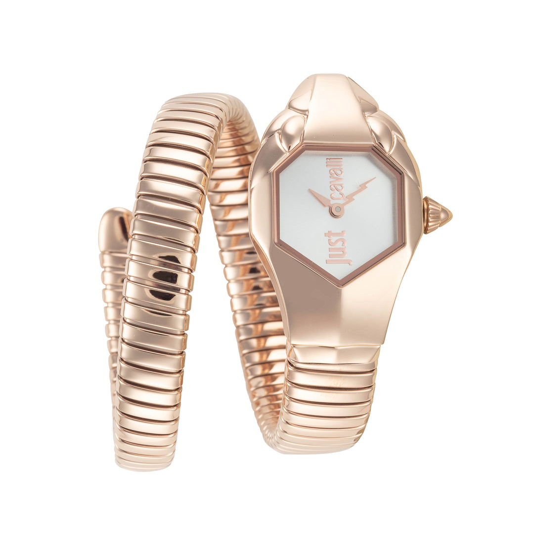 Signature Snake 22mm / Silver / Rose Gold | Silver Dial