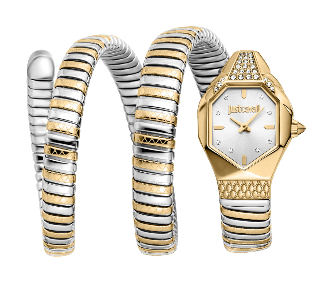 Snake 22mm / Silver / Silver and Gold Silver Dial