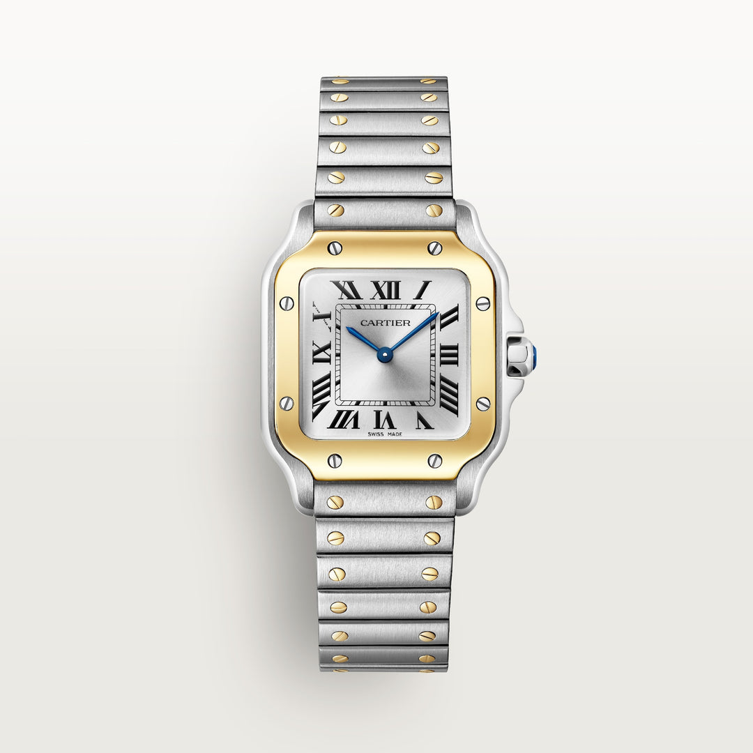 Cartier Santos de Watch W2SA0033