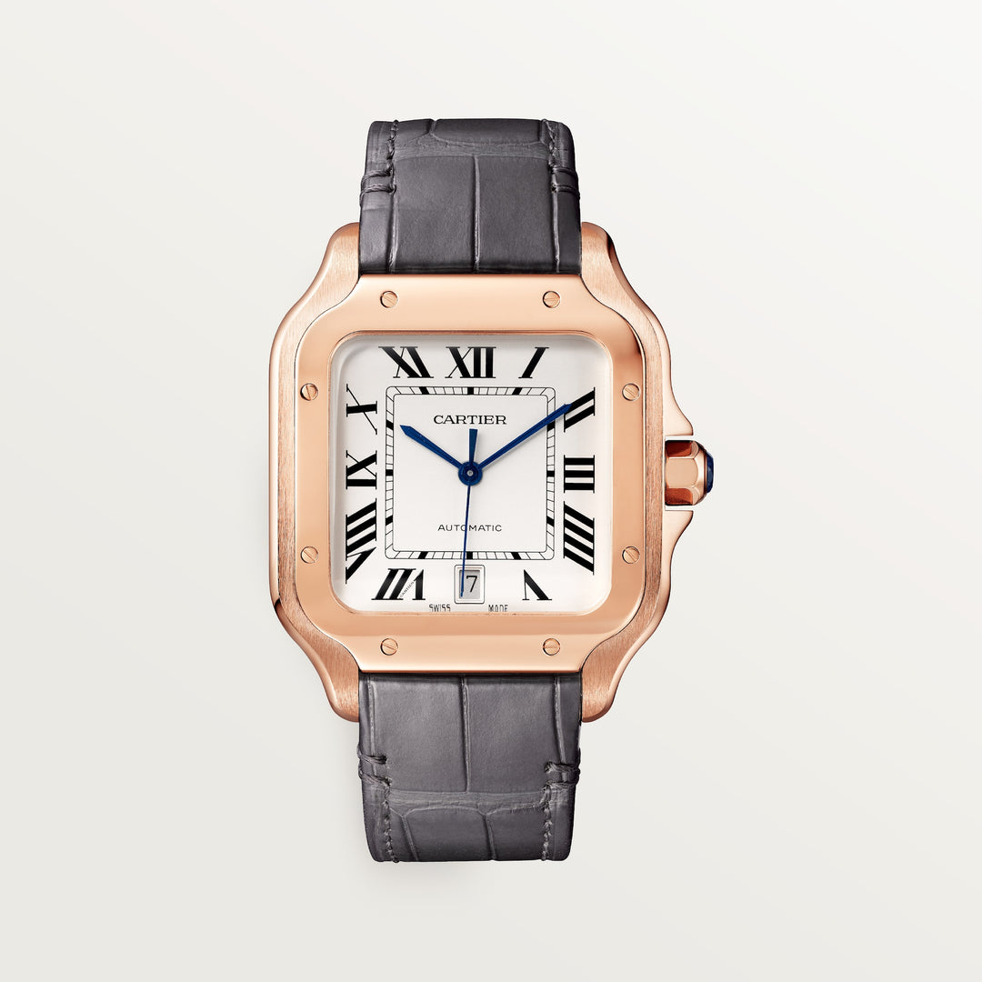 Cartier Santos de Watch WGSA0019
