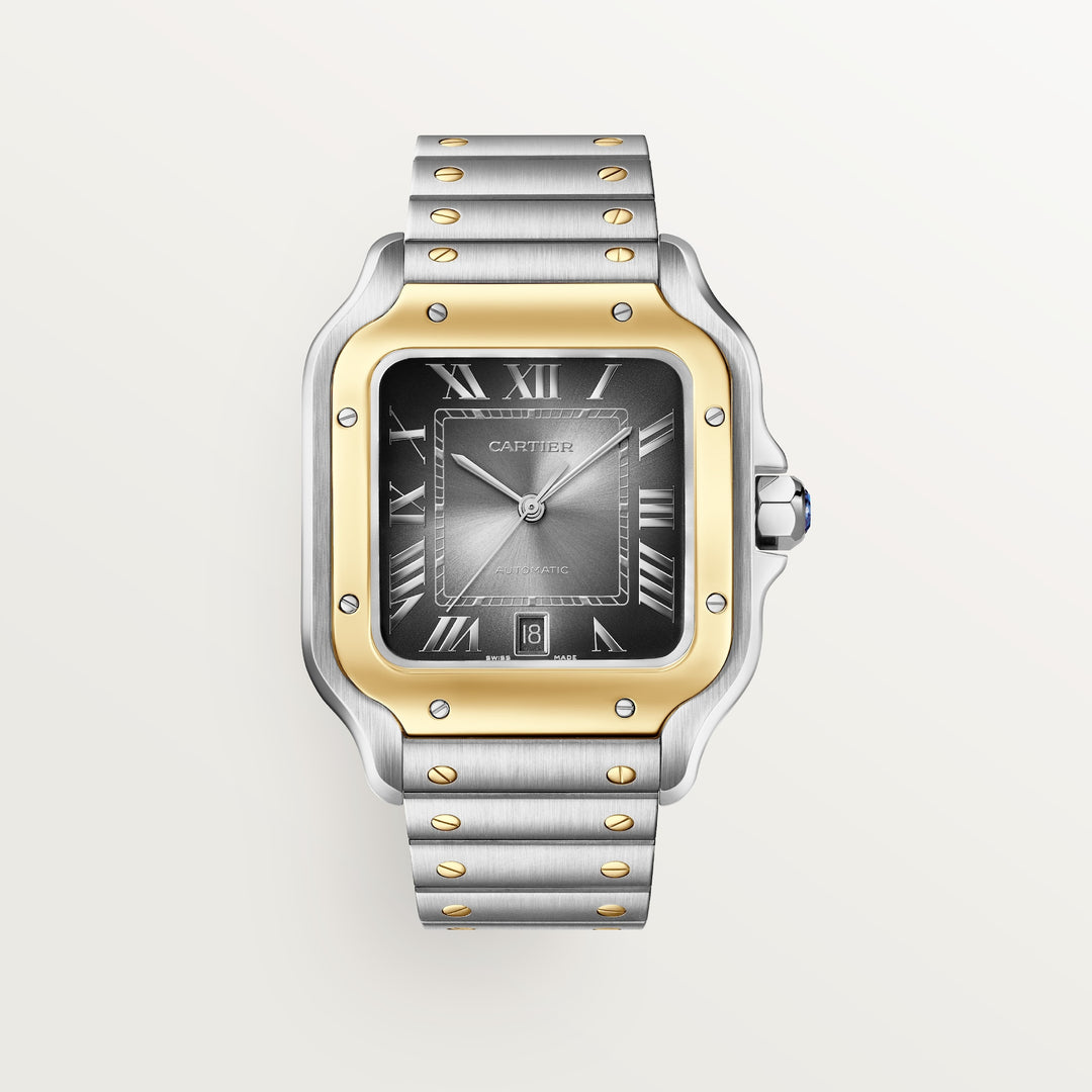 Cartier Santos de Watch W2SA0030