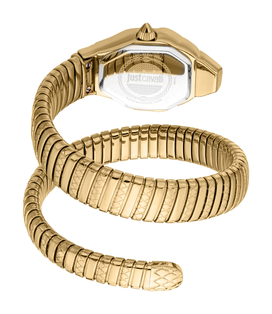 Snake 22mm / Silver / Gold Silver Dial