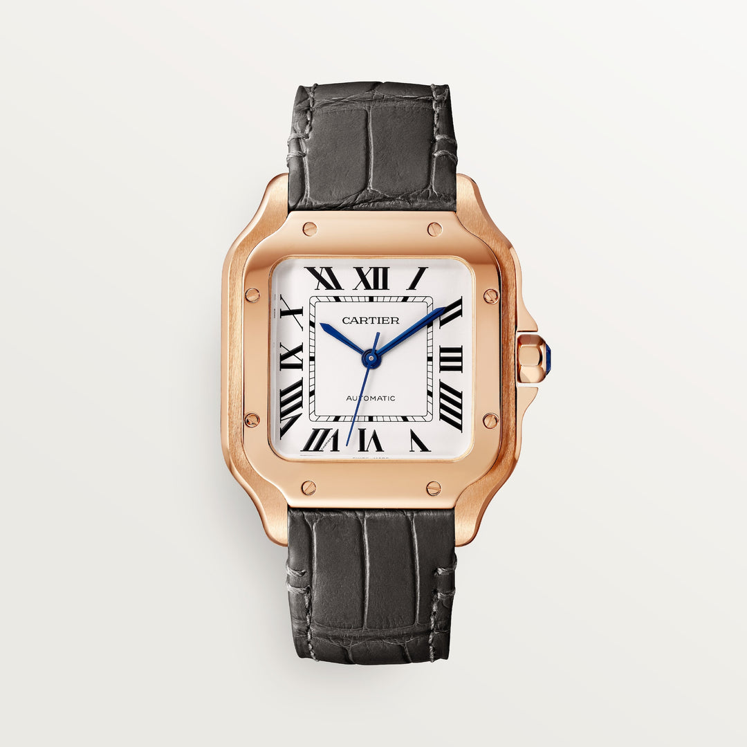Cartier Santos de Watch WGSA0028