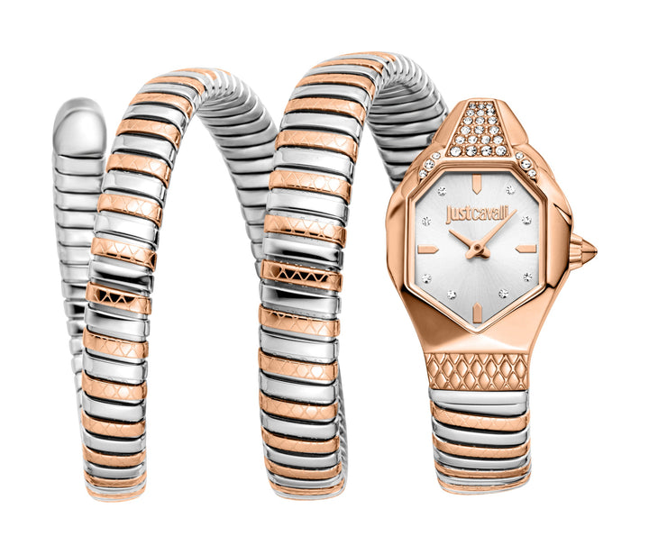 Snake 22mm / Silver / Silver and Rose Gold Silver Dial