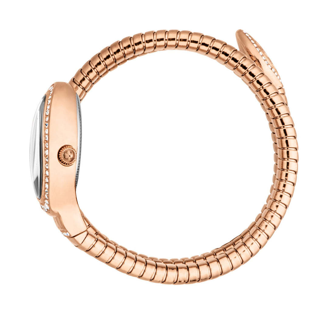 Carezza 22mm / Silver / Rose Gold | Silver Dial