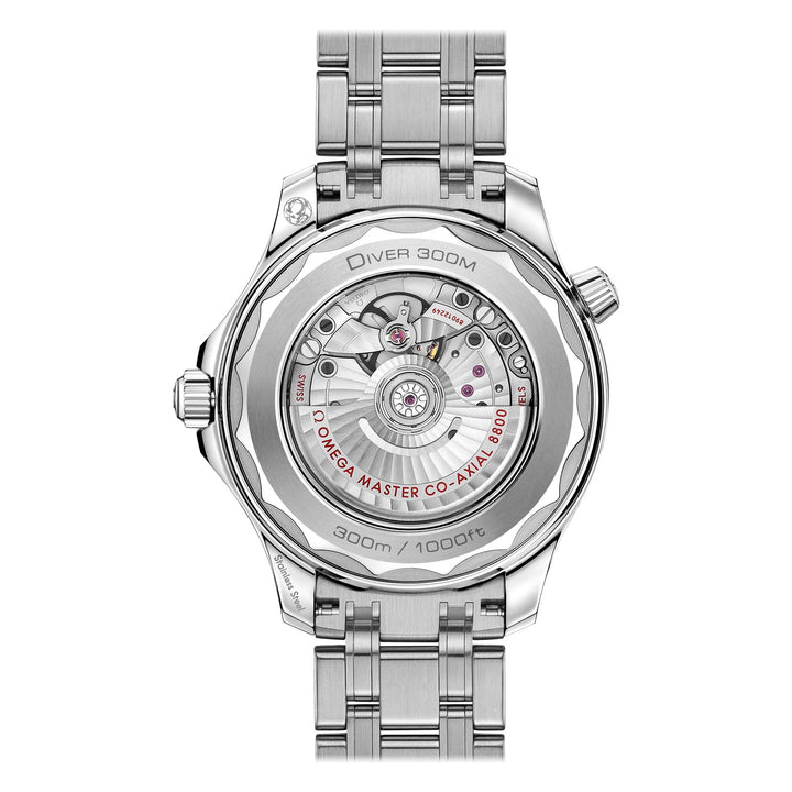 Omega Seamaster Diver 300M Co-Axial Steel on Steel White dial