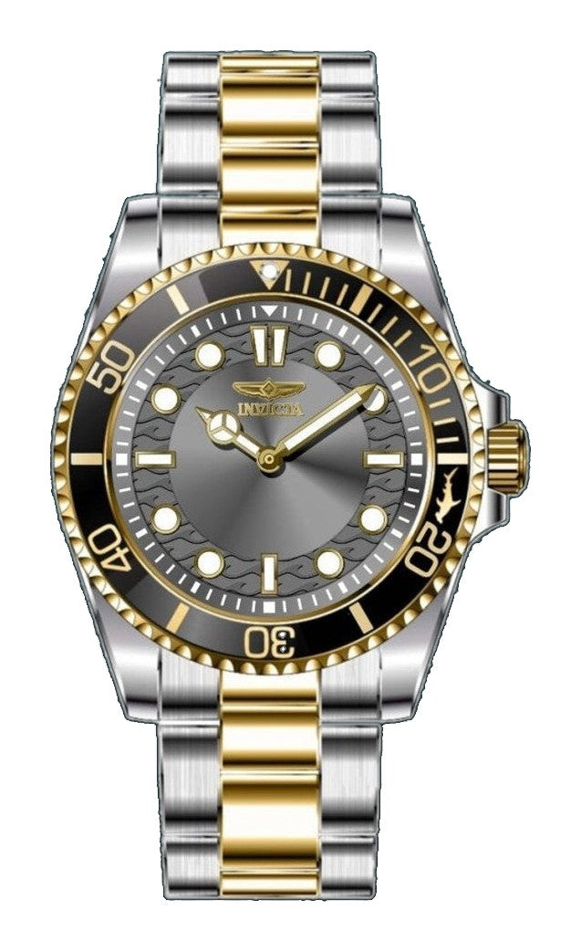 Pro Diver Men Black Dial / Two-Tone Stainless Steel Bracelet Gray Dial