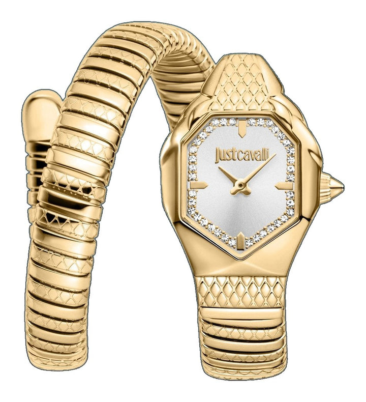 Snake 22mm / Silver / Gold Silver Dial