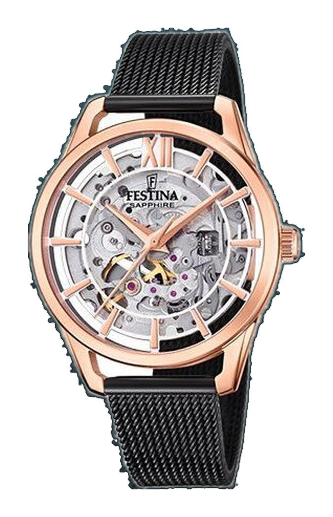 Automatic Skeleton / Stainless Steel Skeleton Dial