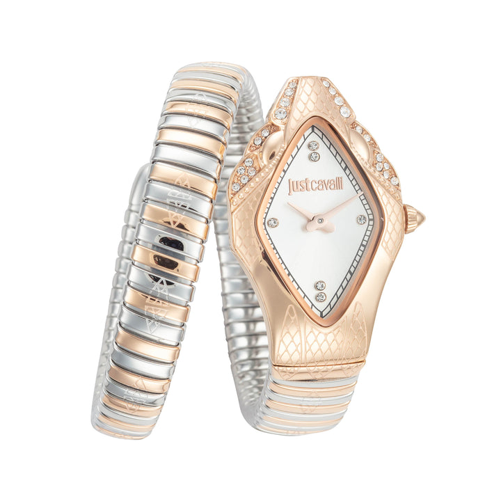 Snake 22mm / Silver / Silver and Rose Gold Silver Dial