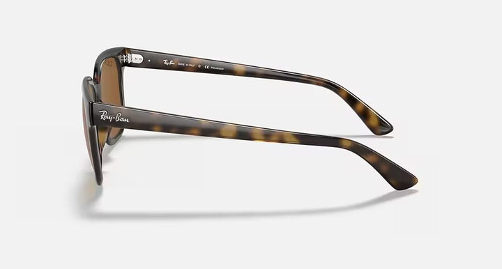 RB4323 UNISEX Light Havana / Brown |  Dial