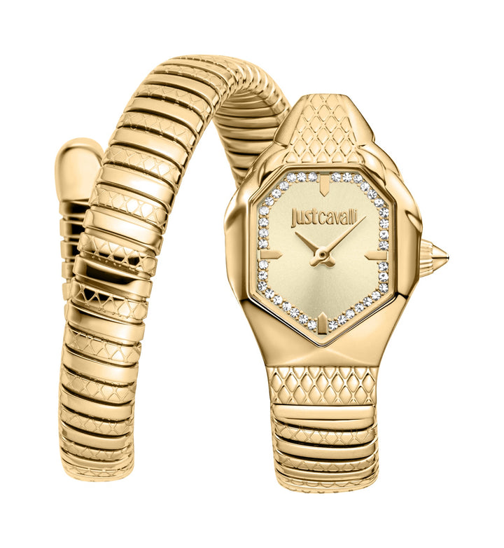 Snake 22mm / Champagne / Gold | Champagne Dial