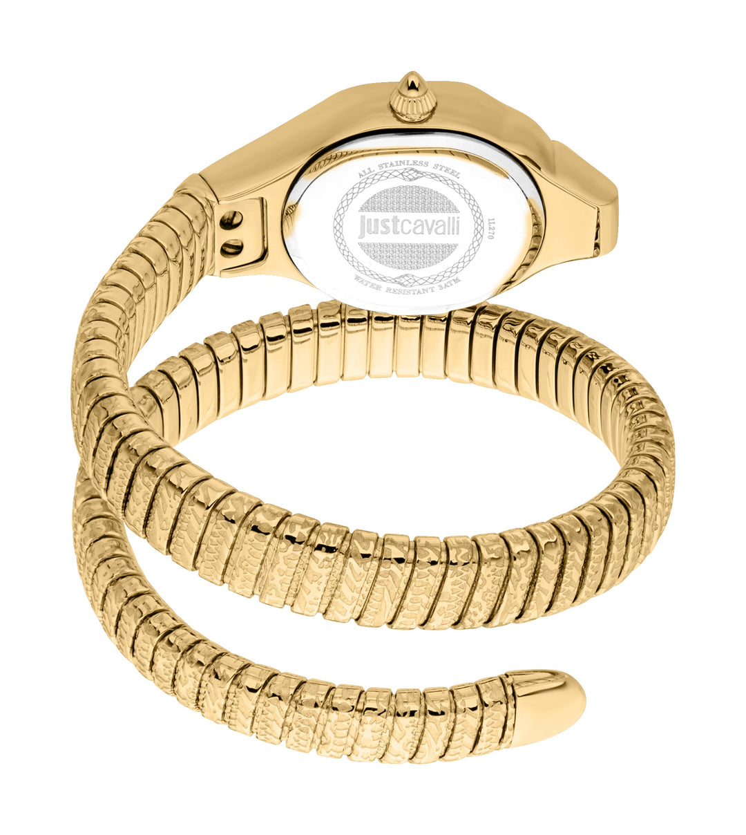 Snake 22mm / Silver / Gold Silver Dial