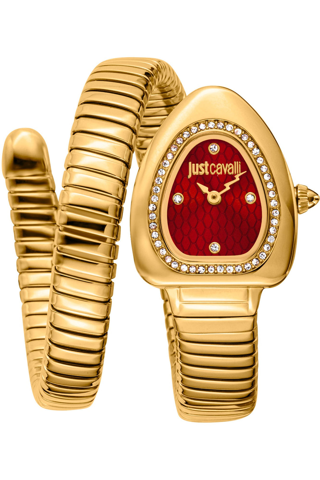 Snake 22mm / Red / Gold | Red Dial