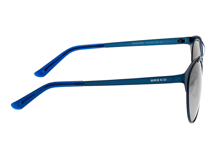 Phoenix Blue/Silver |  Dial