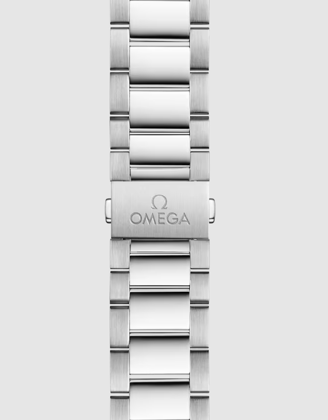 AQUA TERRA 150M COAXIAL MASTER CHRONOMETER 41mm | Sliver Dial