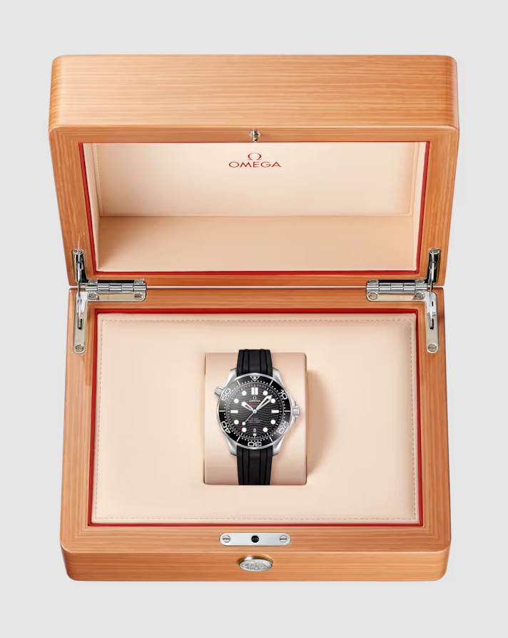 Seamaster Diver 300M Co-Axial Master Chronometer 42mm Black Dial Black Dial