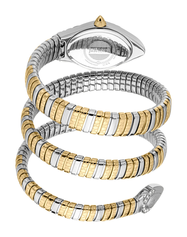 Snake 20mm / Silver / Silver and Gold | Silver Dial