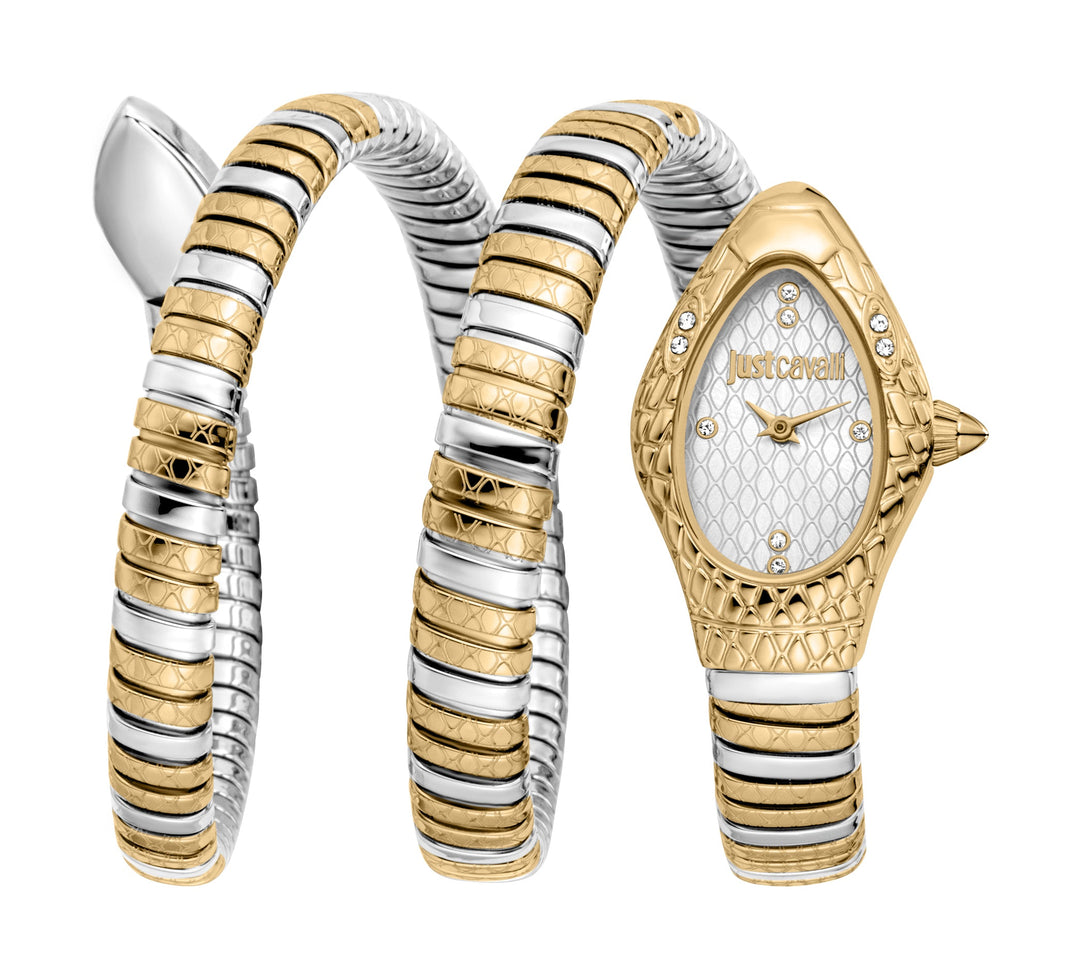 Snake 20mm / Silver / Silver and Gold | Silver Dial
