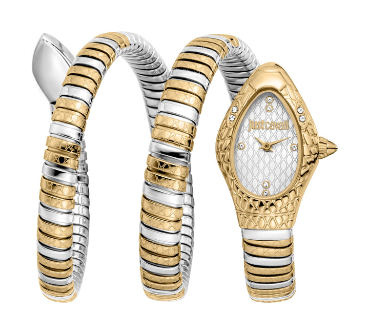 Snake 20mm / Silver / Silver and Gold | Silver Dial