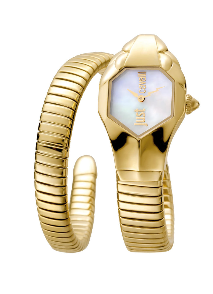 Snake 22mm / Champagne / Gold Champagne Dial