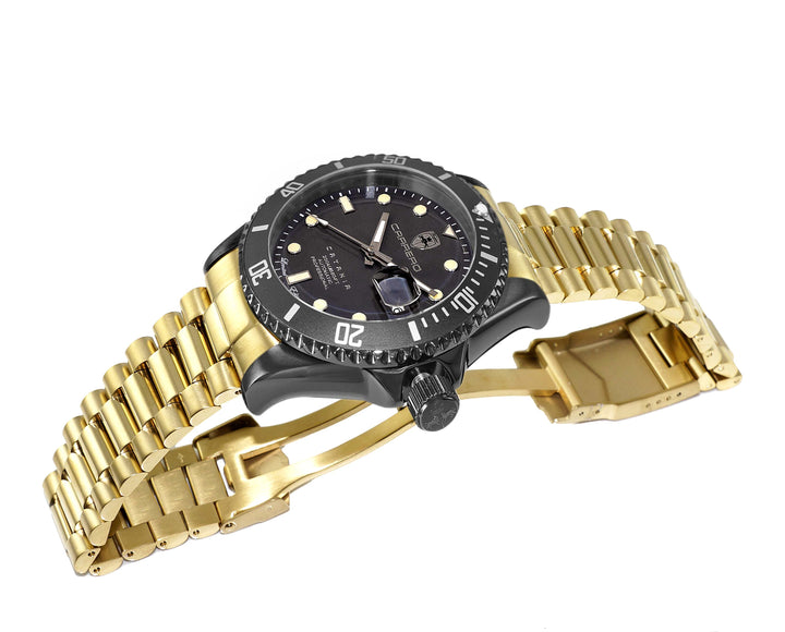 CATANIA -PD IP-BLACK / GOLDTONE Black Dial