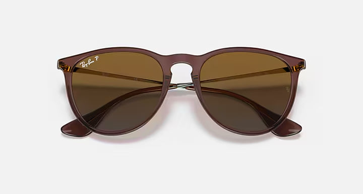 ERIKA CLASSIC LADIES / TRANSPARENT DARK BROWN-BROWN GRADIENT POLAR