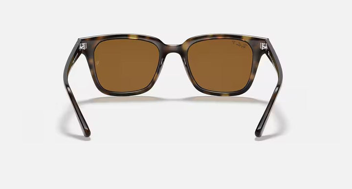 RB4323 UNISEX Light Havana / Brown |  Dial