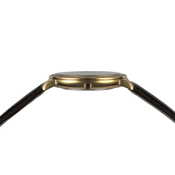 Covington  Series brown band/gold white | White Dial
