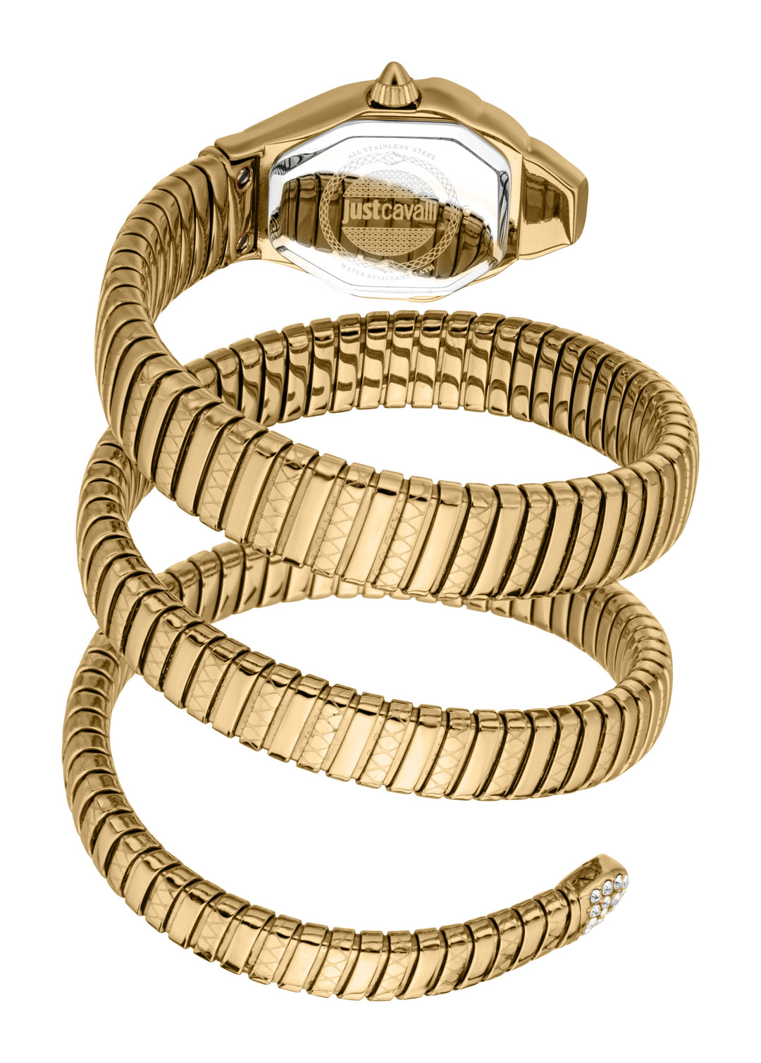Snake 22mm / Silver / Gold Silver Dial