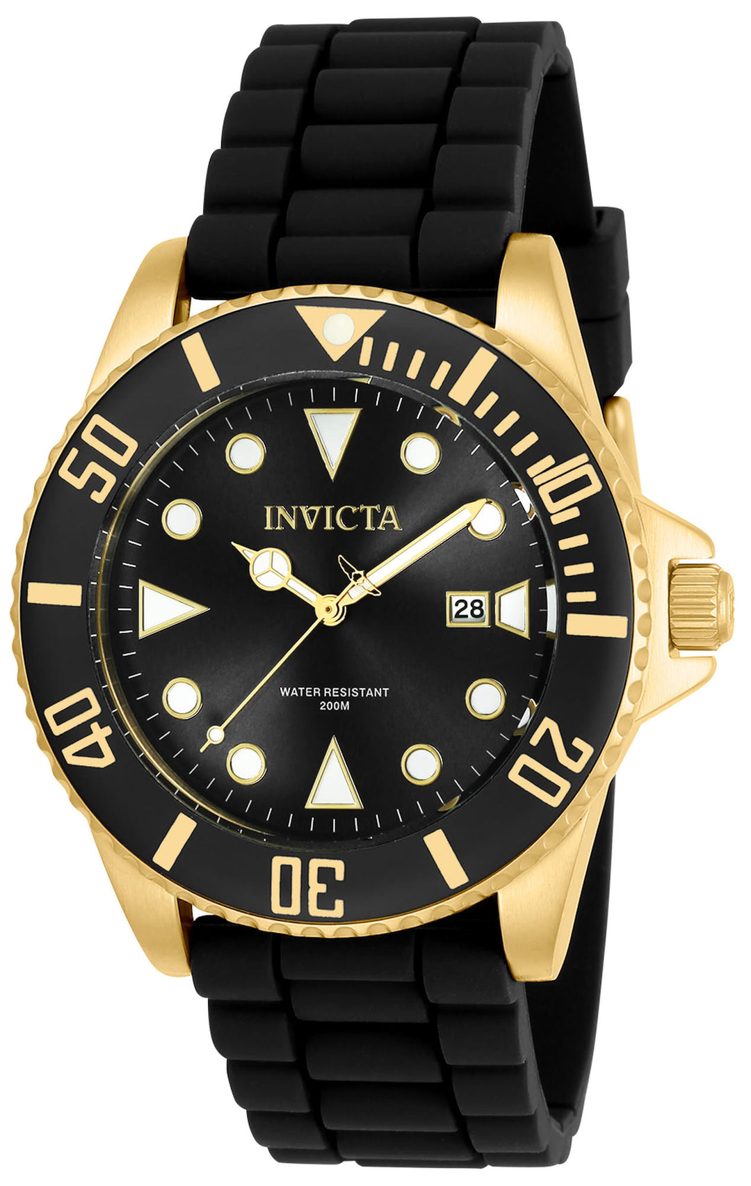 Pro Diver | Black Dial