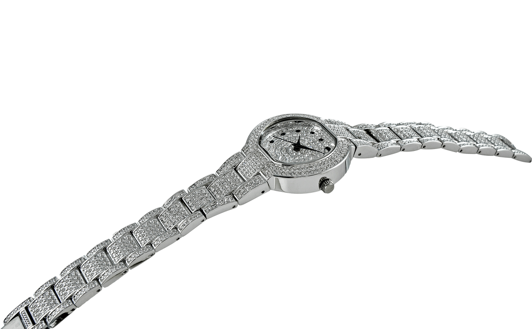 ASTONISH Silvertone | Silver Dial