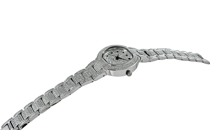ASTONISH Silvertone | Silver Dial