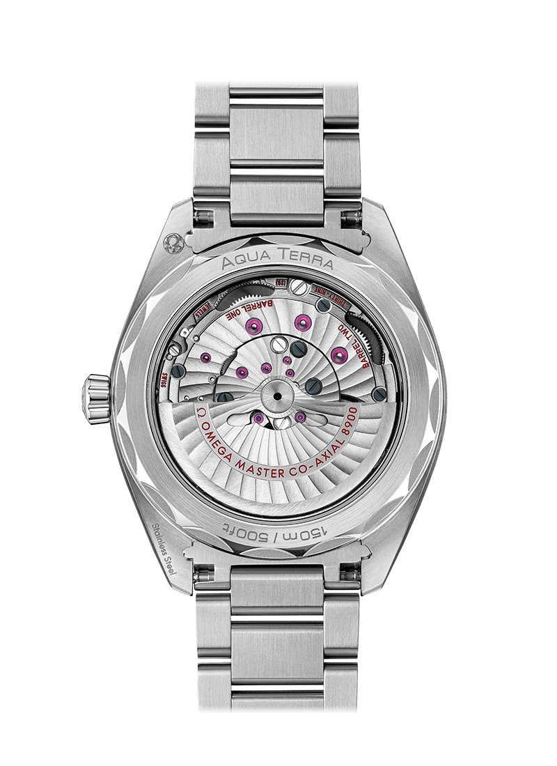Aqua Terra 150m 41mm / steel on steel | Black Dial