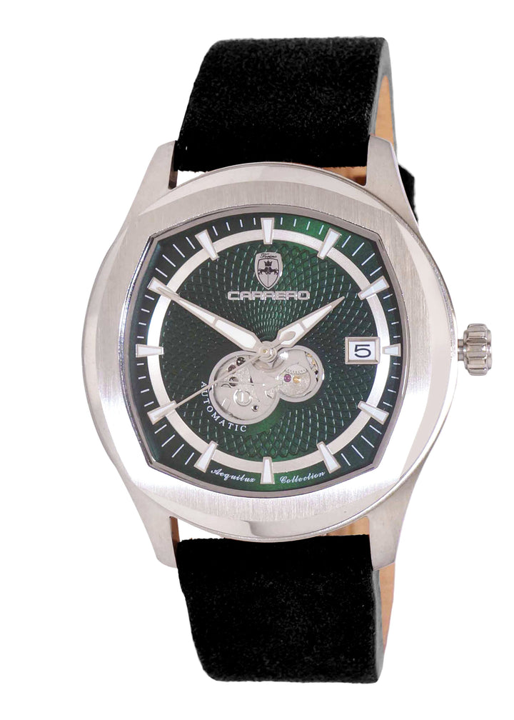 AEQUILUX SILVER TONE/GREEN -BLACK | Green Dial