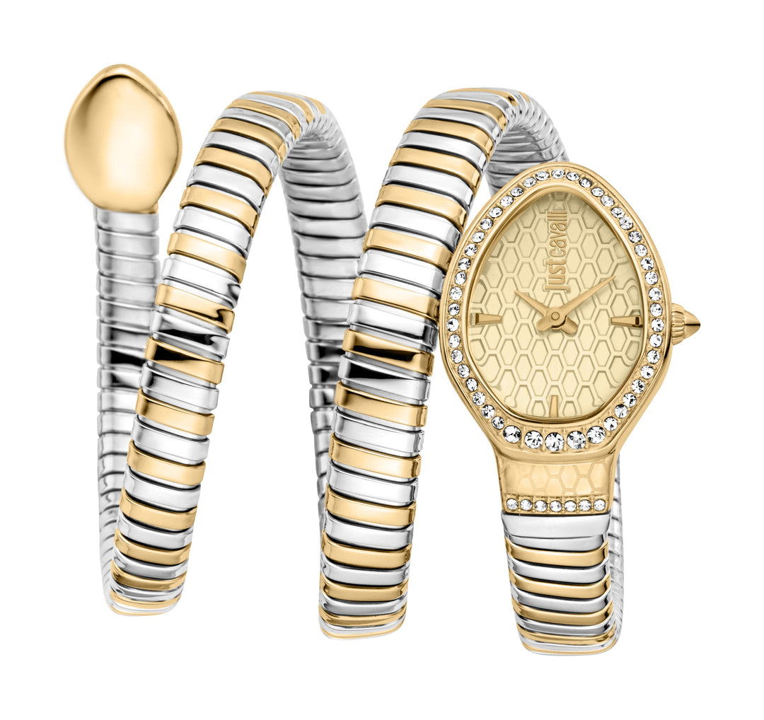 Just Cavalli 22mm / Silver and Gold / Champagne | Champagne Dial