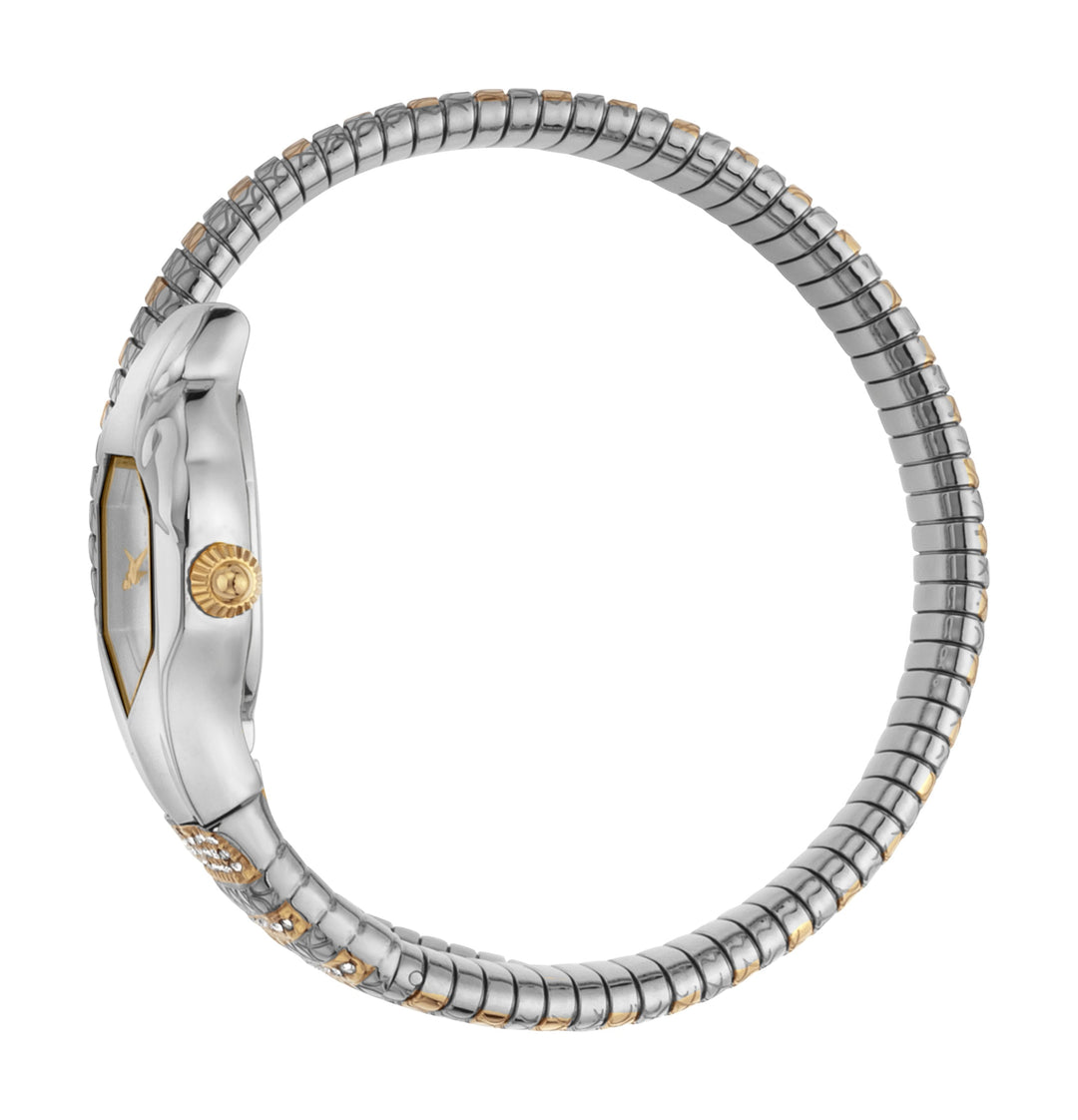 Snake 22mm / Silver / Silver and Gold Silver Dial