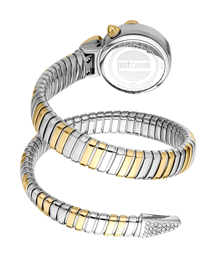 Snake 22mm / Silver / Silver and Gold Silver Dial