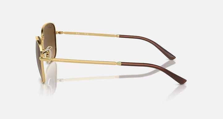 RB3733 UNISEX Arista / Brown Gradient Polar |  Dial