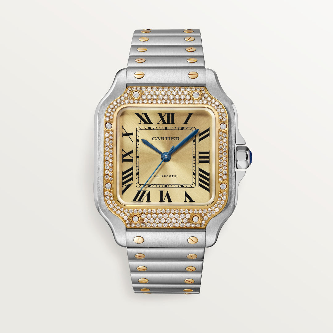 Cartier Santos de Watch W3SA0007
