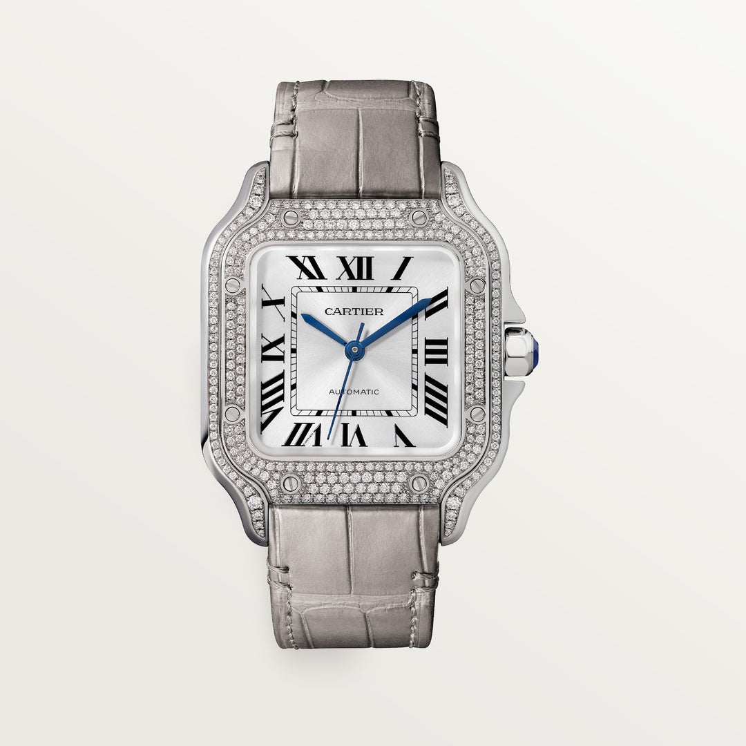 Cartier Santos de Watch WJSA0014