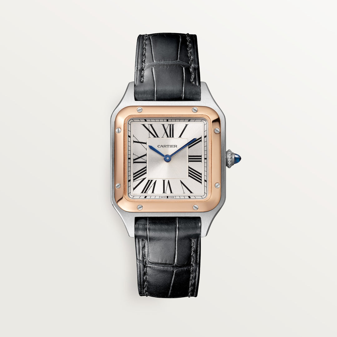 Cartier Santos-Dumont Watch W2SA0038