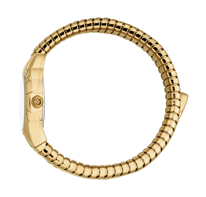 Snake 22.5mm / Silver / Gold Silver Dial