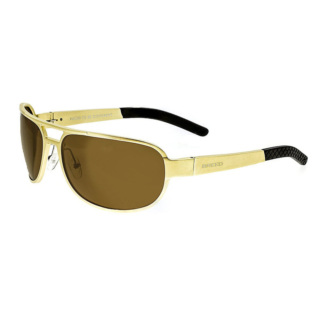 Xander Gold/Brown |  Dial